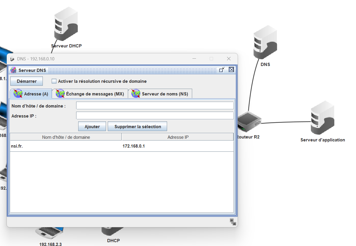 dns